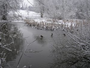 The Long Pond in Winter 4